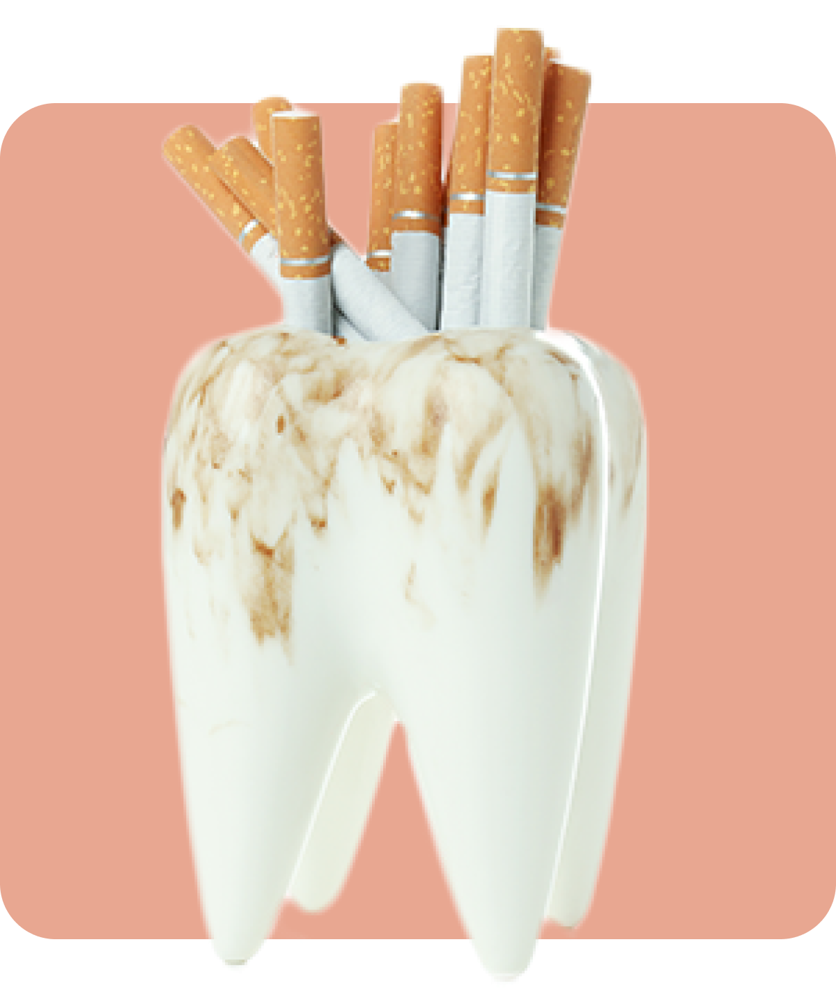 Tobak och parodontit